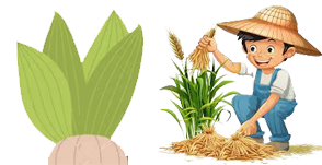 Organic Pesticides Manufacturers & Suppliers in Haryana