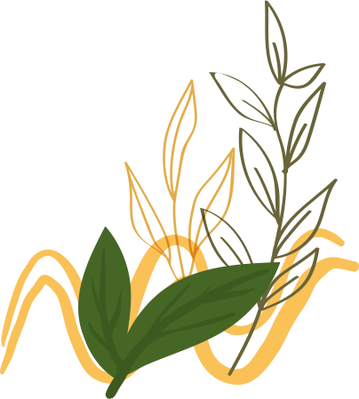 Organic fertilizers for vegetables diseases