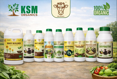 Organic Pesticides and Organic Fertilizer Product for Agriculture