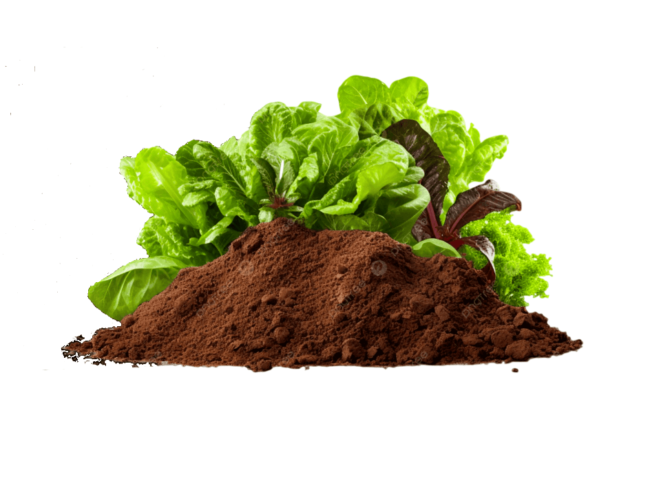 Methods of using compost fertilizer