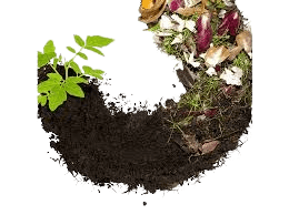 organic compost manure development in Bikaner