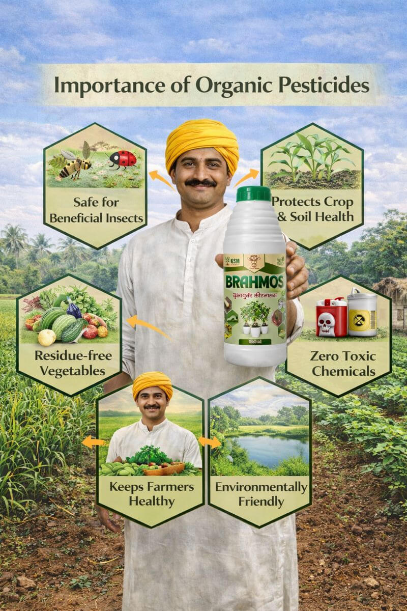 Simple Way to Make Organic Pesticides