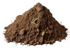 Neem Yukt Vermicompost Manure