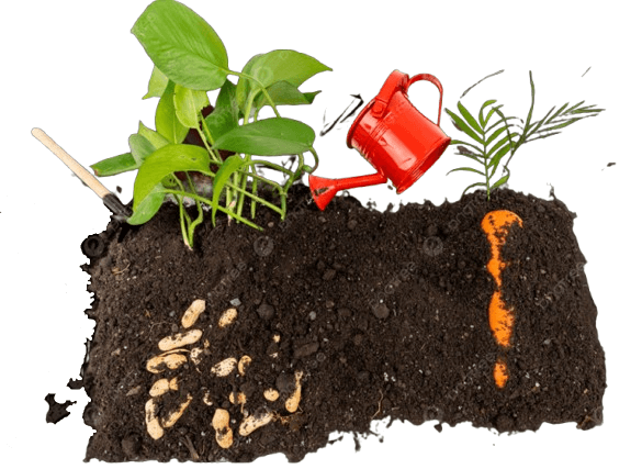Best Vermicompost Manure in India
