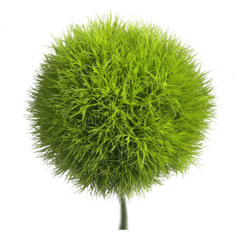 जैविक खाद क्या है?