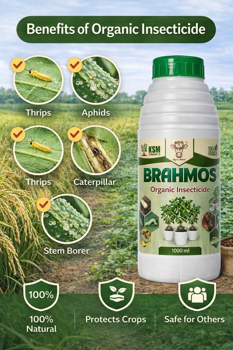 Organic Pesticides for crops, vegetables, home gardens, kitchen gardens, and nurseries