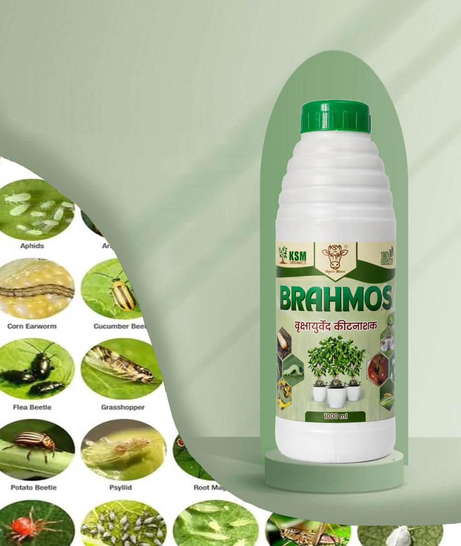 Brahmos Organic liquid pesticide for farming and horticulture