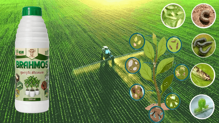 Brahmos Plant Based Organic Pesticides
