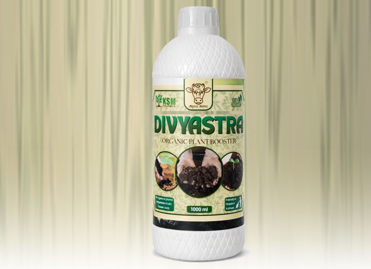 Organic Vermiwash Manufacturer and Supplier in Punjab