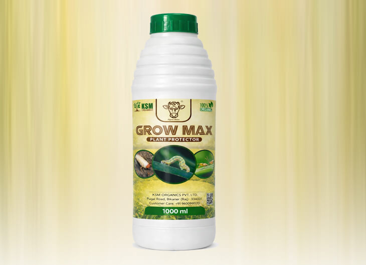 Manufacturer of Organic Fungicides, Bactericides & Virucides in Punjab