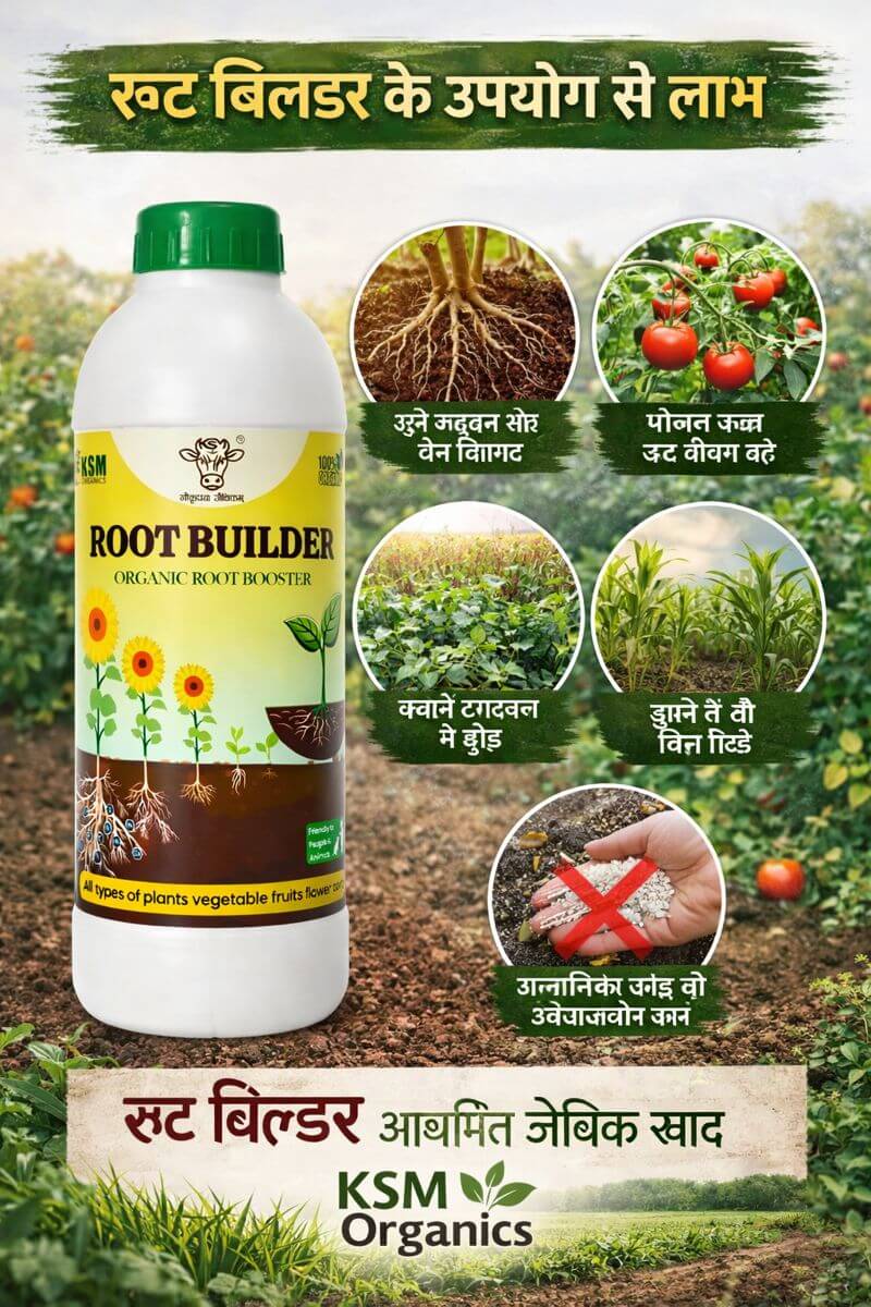 जैविक रूट बिल्डर के लाभ