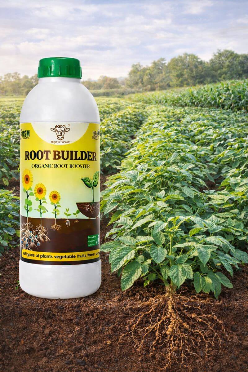 Root Builder for Plant Growth
