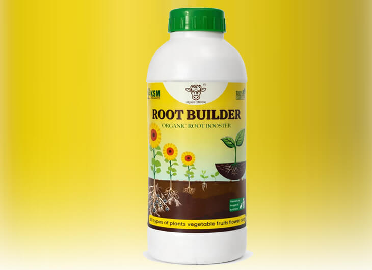 Root Builder adn Plant developer for Root System