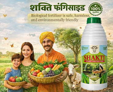 Organic fungicide integrated pest management for crots