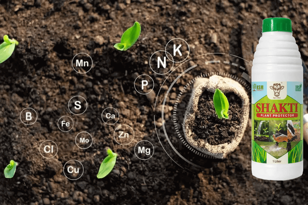 Shakti All in One Organic Fungicide & Plant Growther