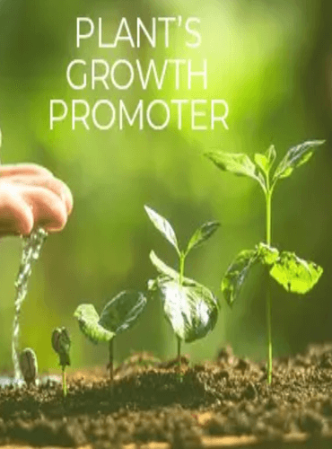 शक्ति फसल उत्पादन में जैविक पादप रक्षक और कवक प्रबंधन का काम करता है